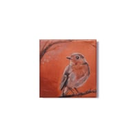 Copper Robin 2