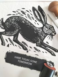 Image 1 of Hare Today, Gone Tomorrow 