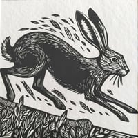 Image 2 of Hare Today, Gone Tomorrow 