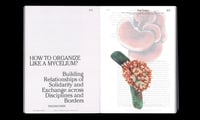 Image 2 of LET'S BECOME FUNGAL ! - Yasmine OSTENDORF-RODRIGUEZ
