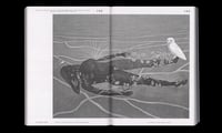 Image 3 of LET'S BECOME FUNGAL ! - Yasmine OSTENDORF-RODRIGUEZ