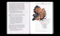 Image 4 of LET'S BECOME FUNGAL ! - Yasmine OSTENDORF-RODRIGUEZ
