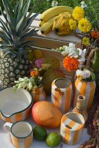 Image 8 of Build-a-Bundle in Pineapple Stripes