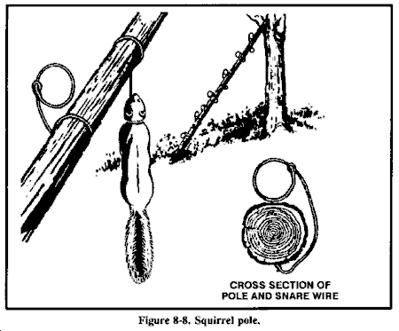 Image of Survival snare & trap kit