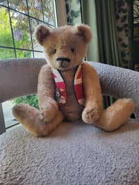 Image 1 of Artist bear by Beardsley Bears 56cm