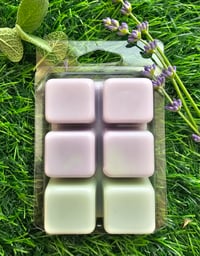 Image 2 of Lavender Sage 