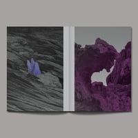 Image of MYTHOLOGIES III. LES METAMORPHOSES tirage de tête -1-
