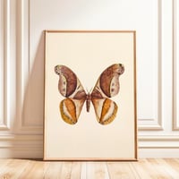 Image 2 of Vintage Moth Art Print, Digital Download Wall Art, Botanical Insect Illustration