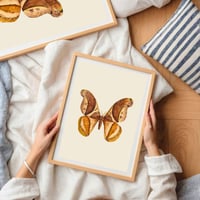 Image 3 of Vintage Moth Art Print, Digital Download Wall Art, Botanical Insect Illustration
