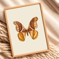 Image 1 of Vintage Moth Art Print, Digital Download Wall Art, Botanical Insect Illustration