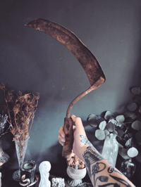 Image 1 of Antique sickles 