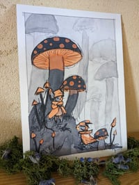 Image 1 of - PRINT - </br> Champignon </br> <FONT size="2pt">14x21cm</FONT>