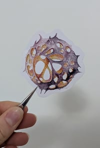 - STICKER - </br> Hexodus - Arcane </br>