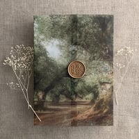 Image 1 of Olive tree groove printed vellum wrap for 5x7 cards PACK of 10