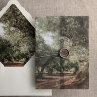 Image 6 of Olive tree groove printed vellum wrap for 5x7 cards PACK of 10