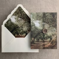 Image 7 of Olive tree groove printed vellum wrap for 5x7 cards PACK of 10
