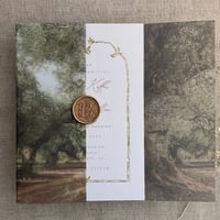 Image 3 of Olive tree groove printed vellum wrap for 5x7 cards PACK of 10