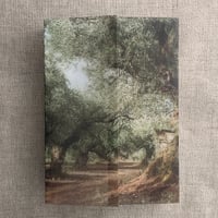 Image 2 of Olive tree groove printed vellum wrap for 5x7 cards PACK of 10