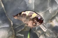 Image 4 of Custom Airbrushed S-CRANK 1.5 Squarebill Crankbait 8397