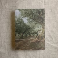 Image 3 of olive tree grove white translucent vellum overlays for 5x7 inches cards PACK of 10