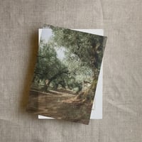 Image 4 of olive tree grove white translucent vellum overlays for 5x7 inches cards PACK of 10
