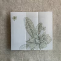 Image 5 of Chelsia tropical floral printed vellum wrap for 5x7 cards PACK of 10