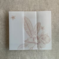 Image 8 of Chelsia tropical floral printed vellum wrap for 5x7 cards PACK of 10