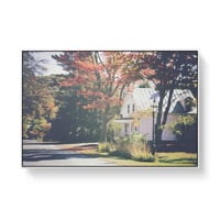 Image 1 of White House Beneath a Maple Tree