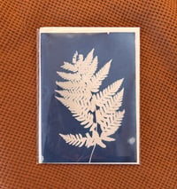 Cyanotype Fern card