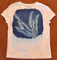 Image 1 of Cyanotype Redwood Tree Shirt - size M