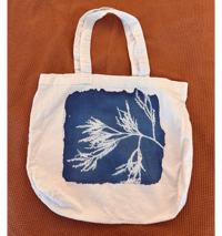 Image 1 of Cyanotype Redwood Tote 