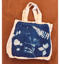 Image 1 of Cyanotype California native plants