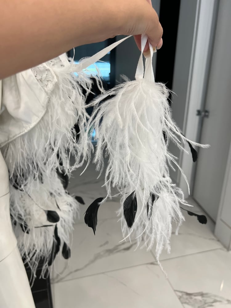 Image of OSTRICH BOMBER 