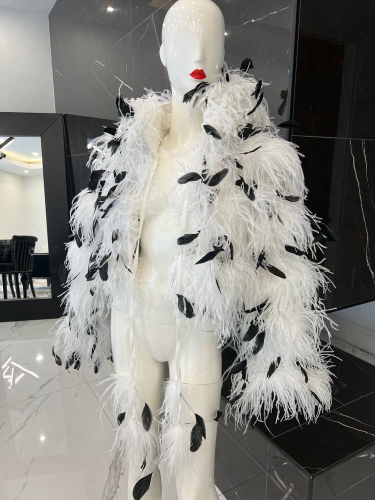 Image of OSTRICH BOMBER 