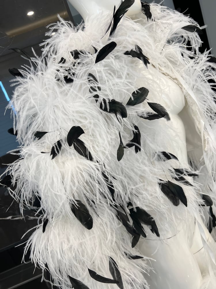 Image of OSTRICH BOMBER 