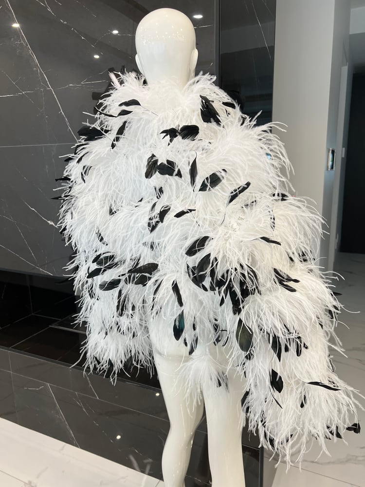 Image of OSTRICH BOMBER 