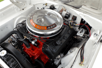 Image 3 of 426 Hemi stock