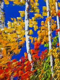 Image 2 of - Vibrancy -