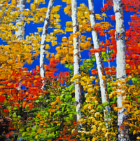 Image 1 of - Vibrancy -
