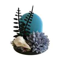 Image 4 of Oddities 