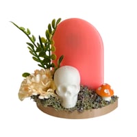 Image 5 of Oddities 