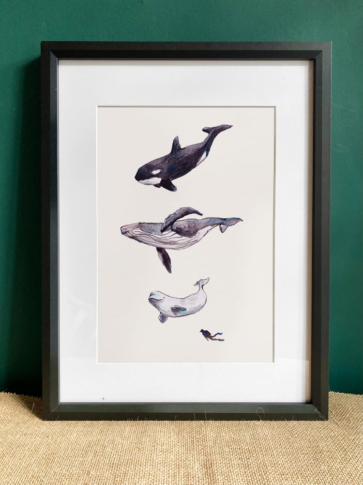 Image of the whales print