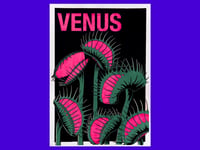 Image 1 of SIEBDRUCK Venus