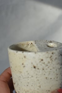 Image 7 of Build-a-Bundle in Cacao Nibs