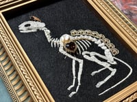 Image 2 of Cat Skeleton (A) Framed Embellished Embroidery Striped Frame