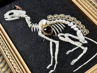 Image 6 of Cat Skeleton (A) Framed Embellished Embroidery Striped Frame