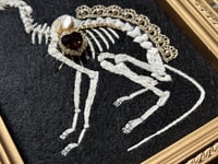 Image 8 of Cat Skeleton (A) Framed Embellished Embroidery Striped Frame