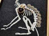 Image 7 of Cat Skeleton (A) Framed Embellished Embroidery Striped Frame