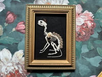 Image 1 of Cat Skeleton (A) Framed Embellished Embroidery Striped Frame