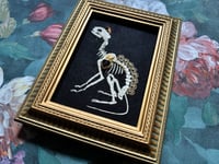 Image 3 of Cat Skeleton (A) Framed Embellished Embroidery Striped Frame
